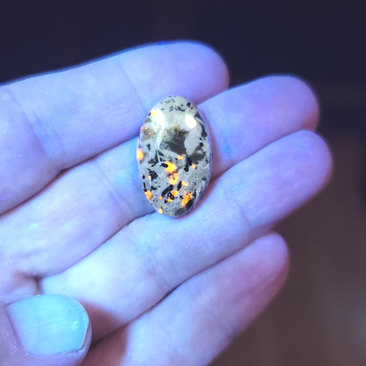 Arkalite (Sodalite Syenite) Cabochon