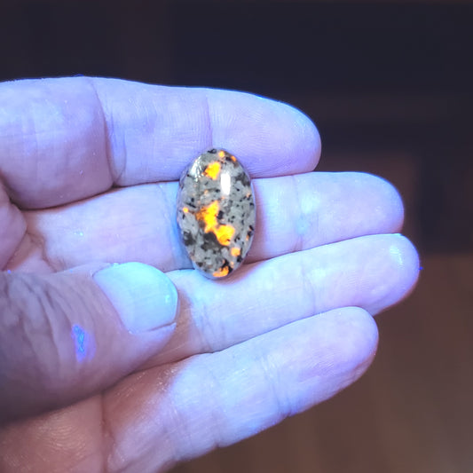 Arkalite (Sodalite Syenite) Cabochon - detail view