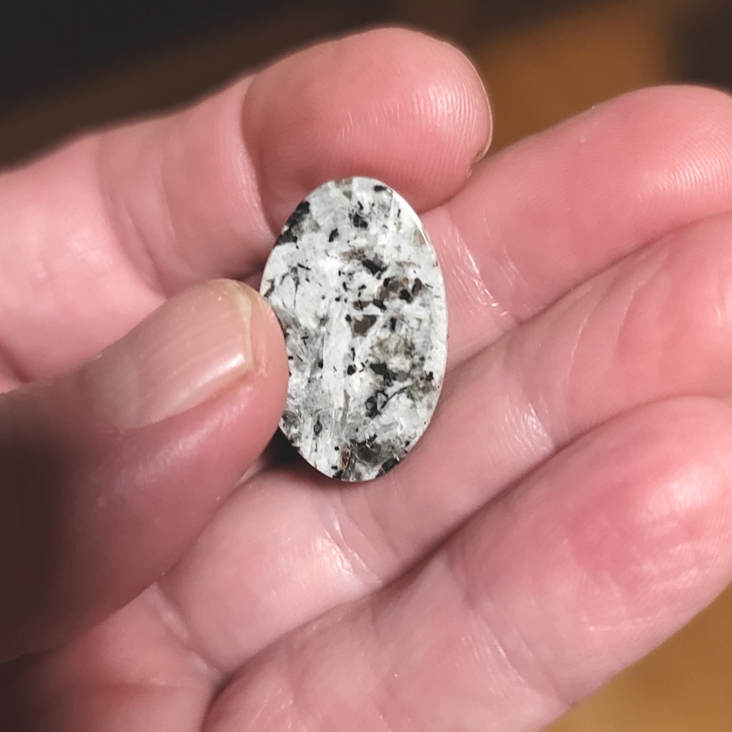 Arkalite (Sodalite Syenite) Cabochon