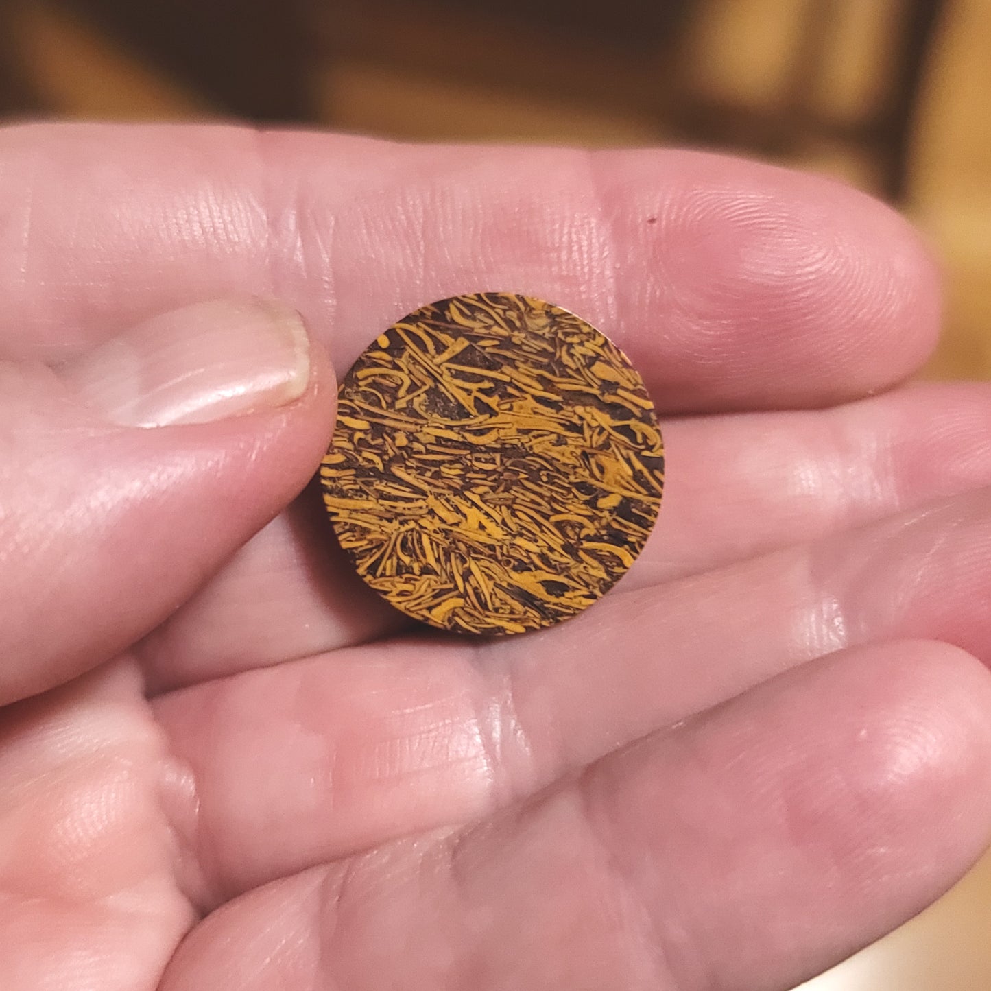 Coquina - Indian Script Stone Cabochon - back view