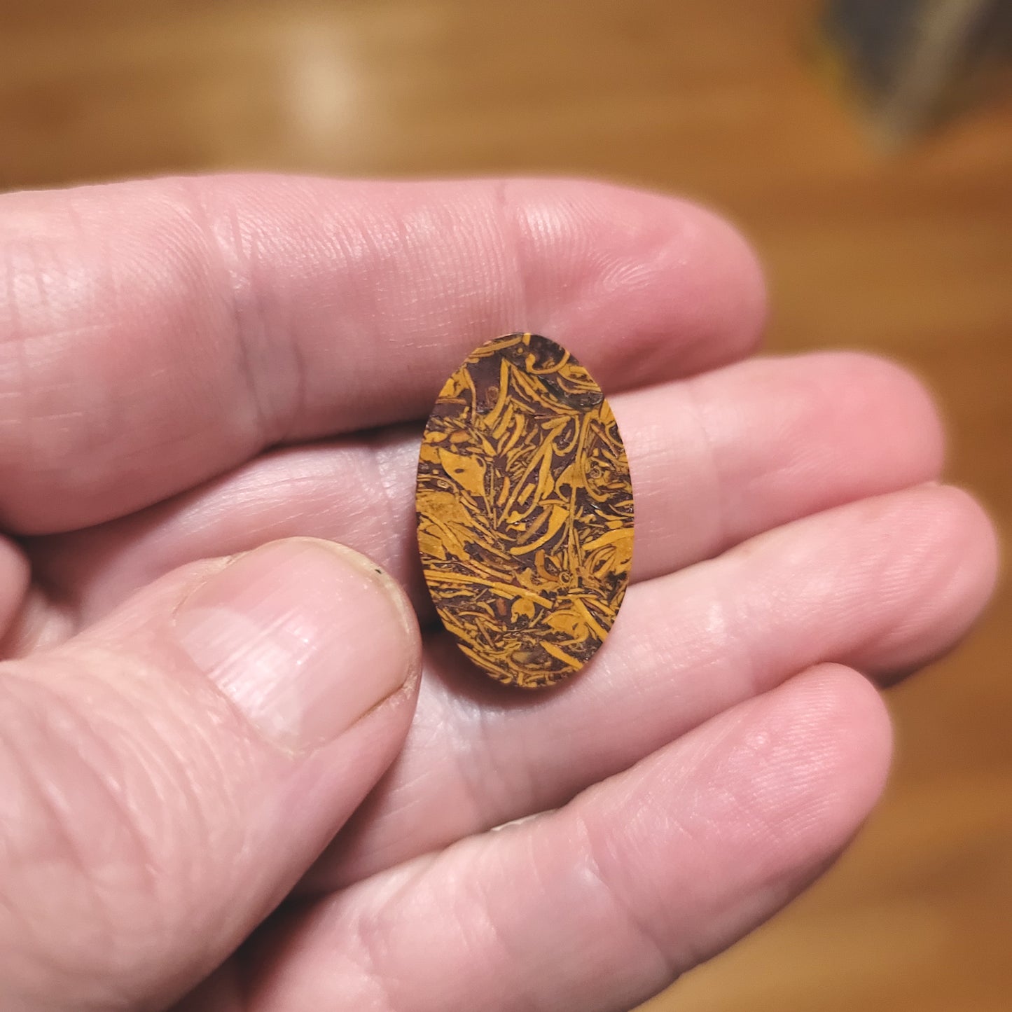 Coquina - Indian Script Stone Cabochon - back view