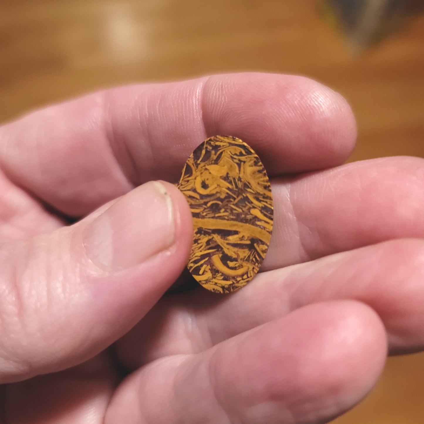 Coquina - Indian Script Stone Cabochon - back view