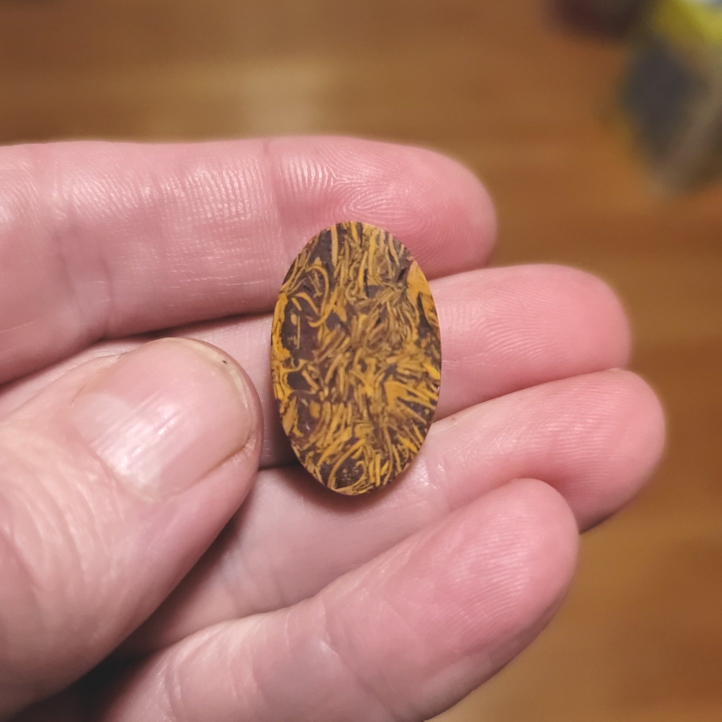 Coquina - Indian Script Stone Cabochon - back view