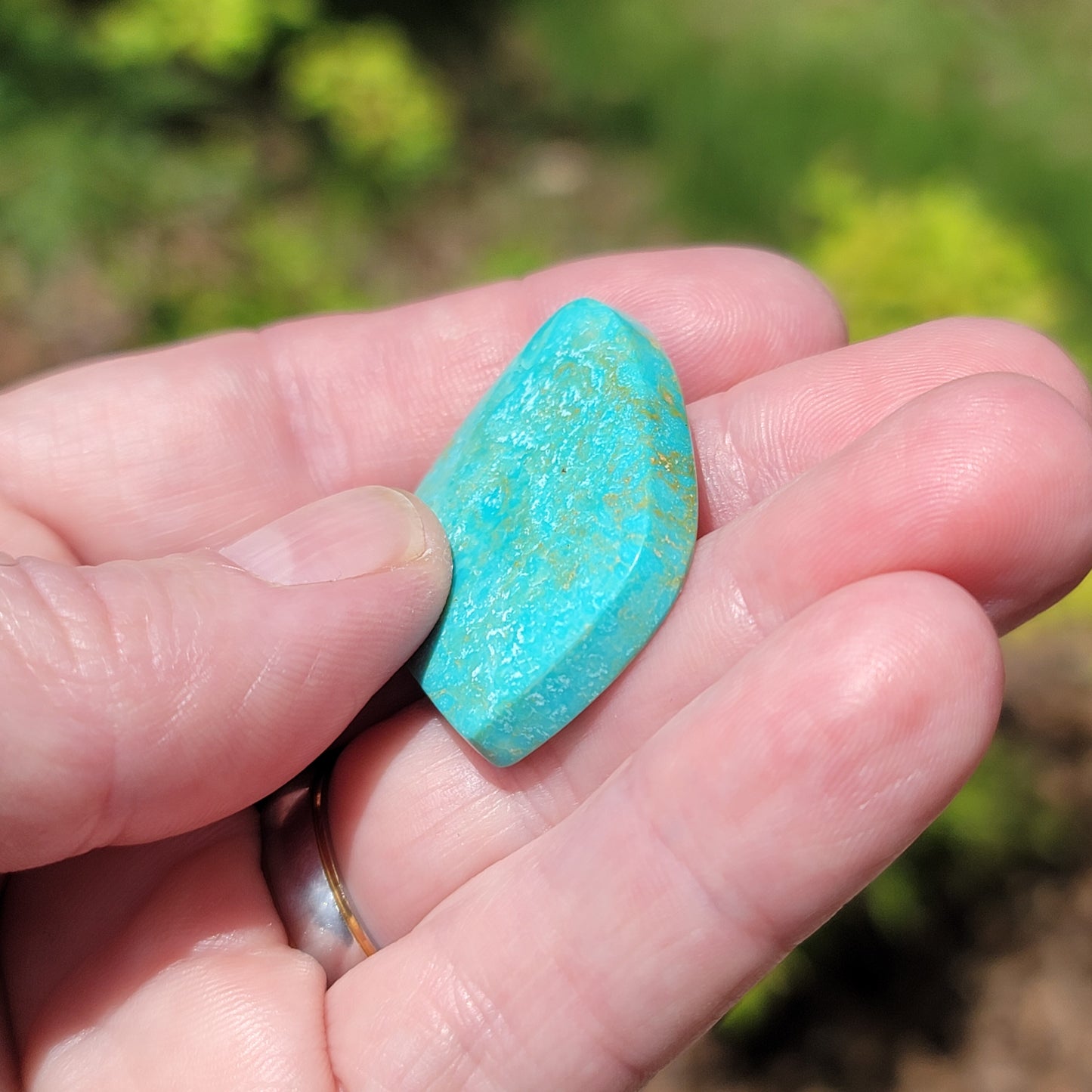 Sonoran Turquoise Cabochon