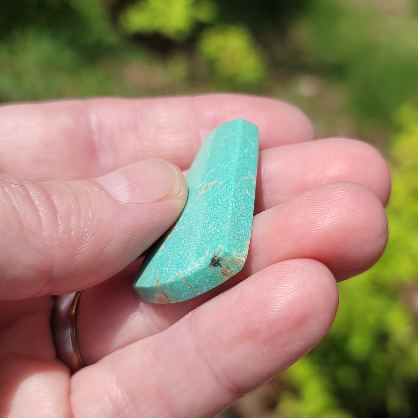 Sonoran Turquoise Cabochon