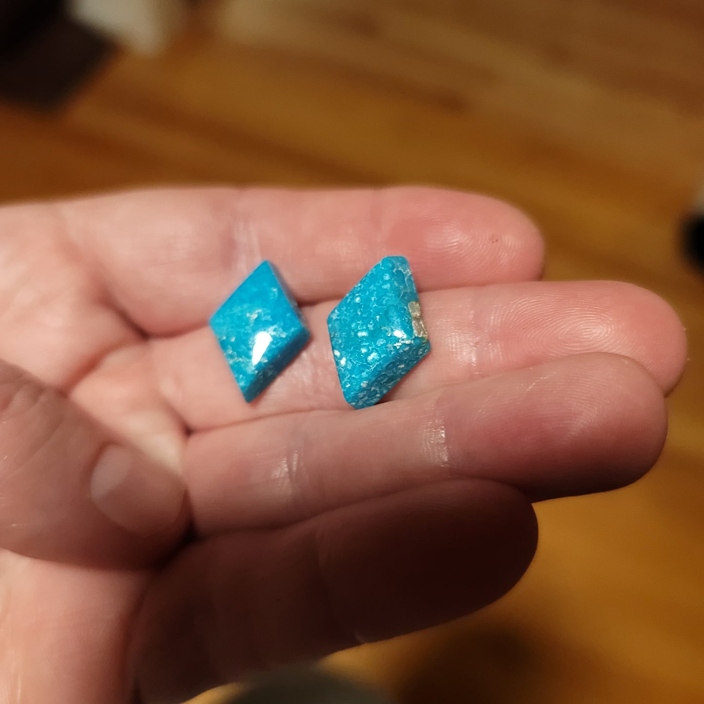 Sonoran Turquoise Cabochon Earring Pair