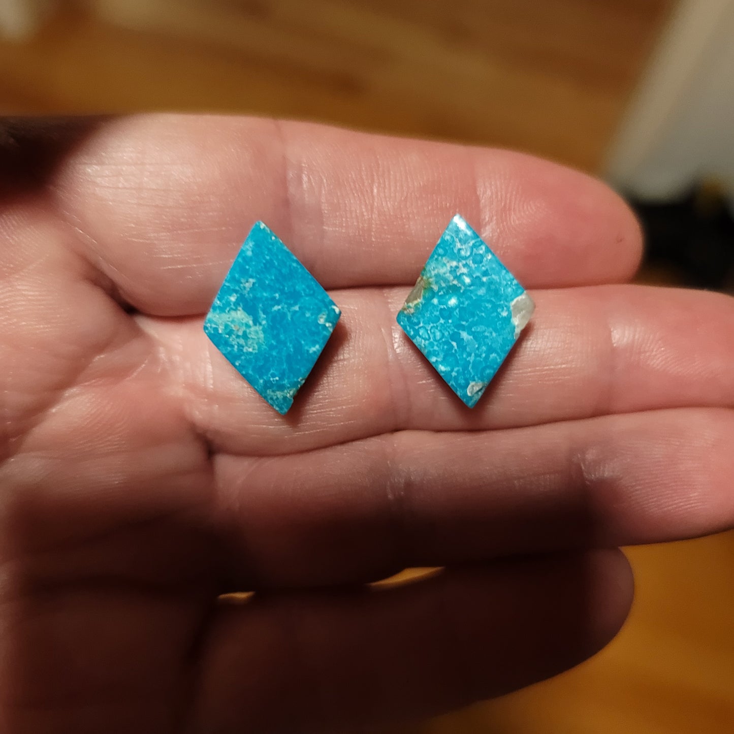 Sonoran Turquoise Cabochon Earring Pair