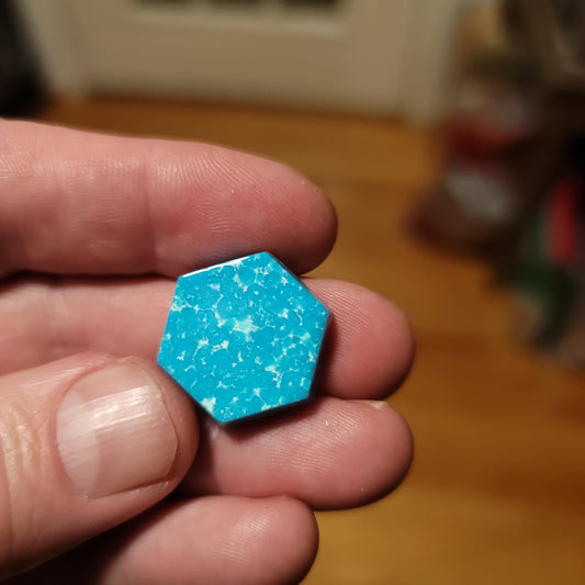 Sonoran Turquoise Cabochon