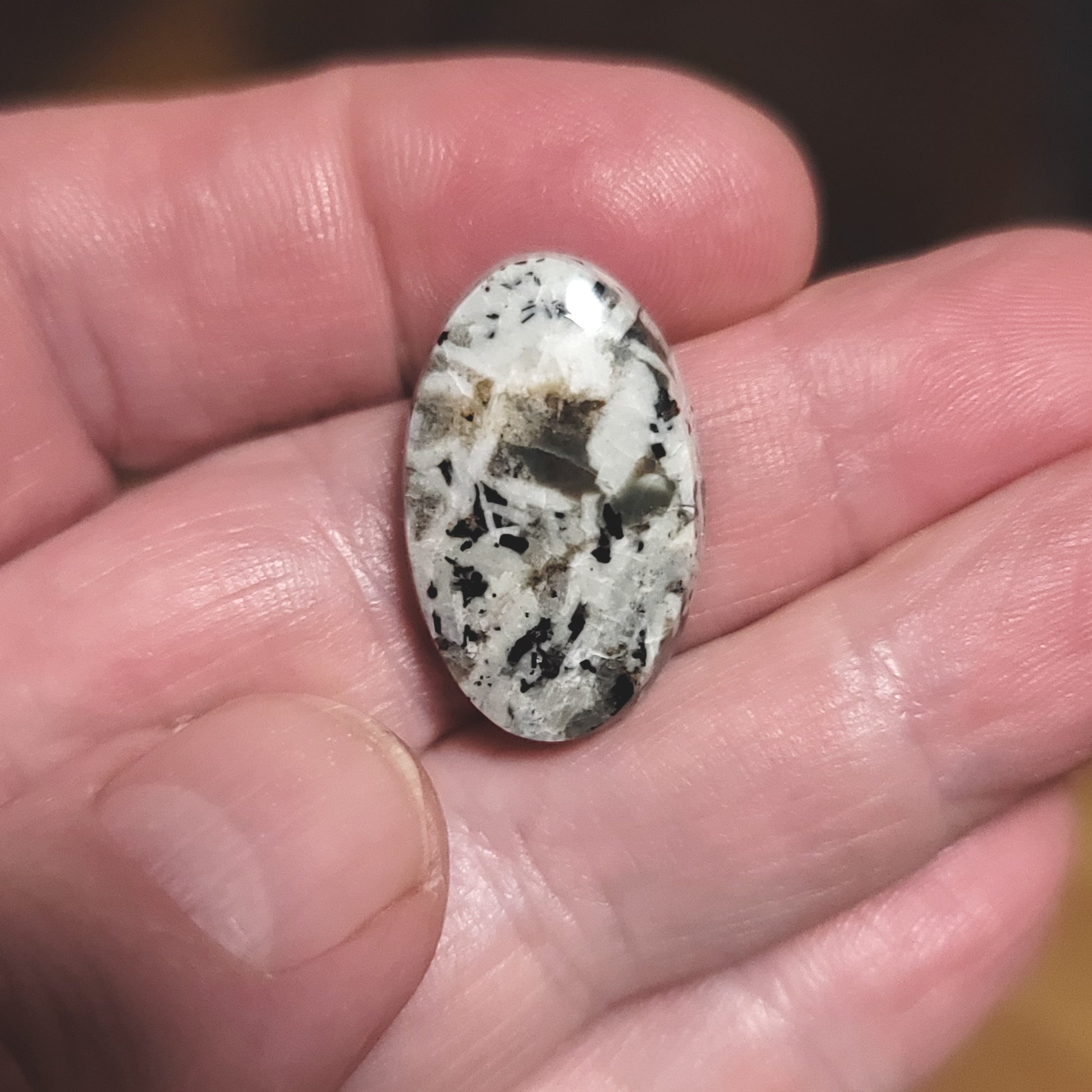 Arkalite (Sodalite Syenite) Cabochon - front view