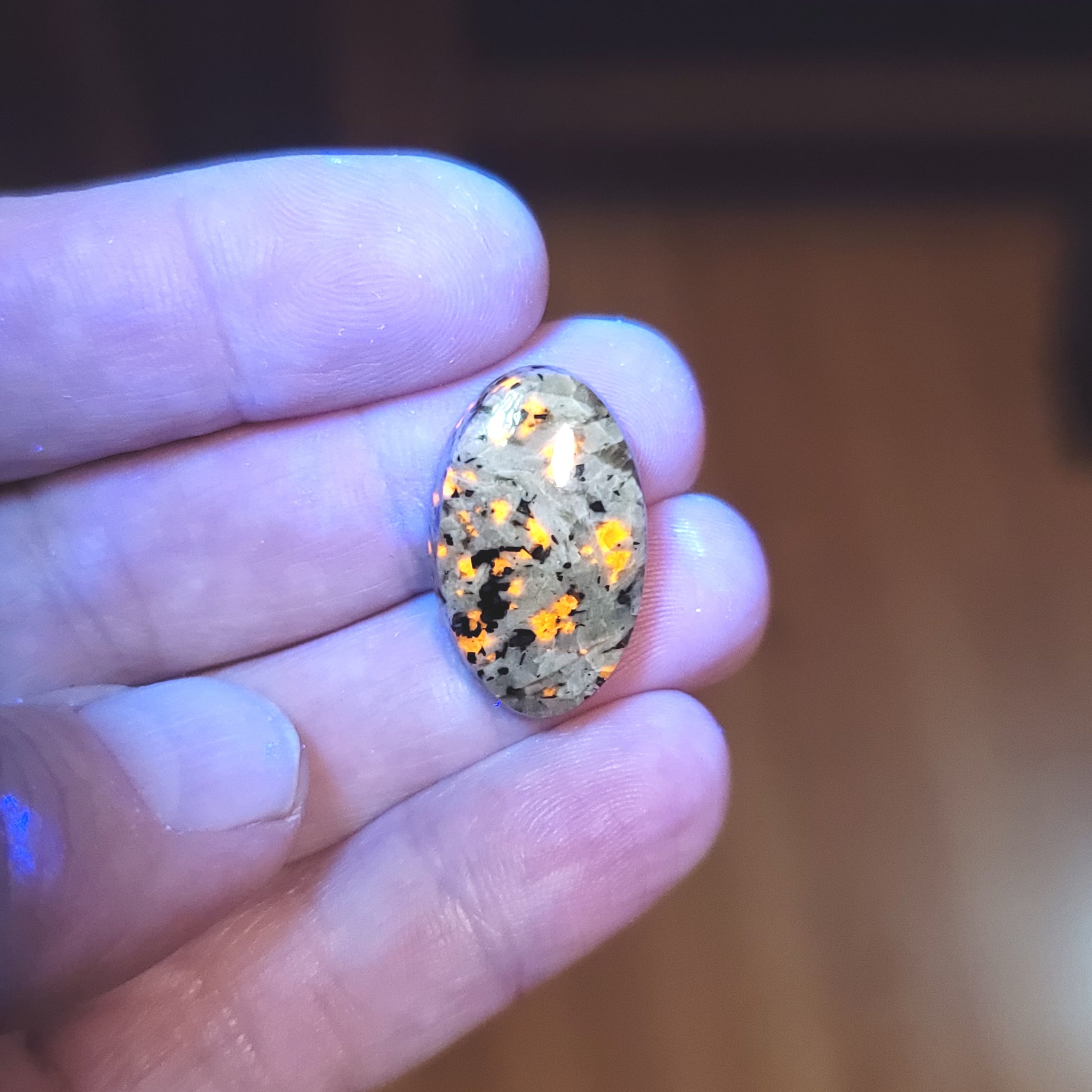 Arkalite (Sodalite Syenite) Cabochon - front view