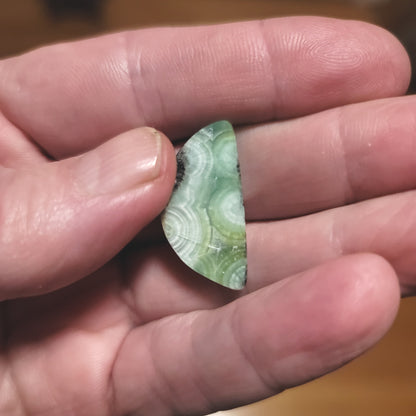 Arkansas Wavellite Cabochon - back view