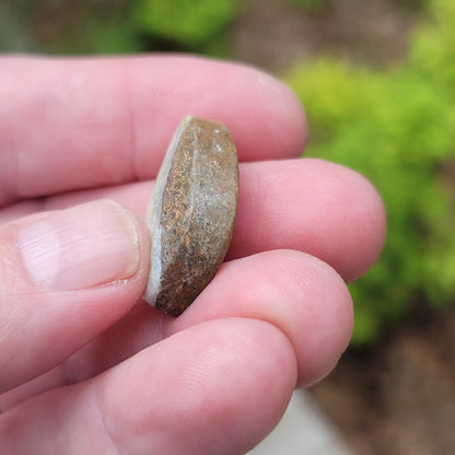 Arkansas Wavellite Cabochon