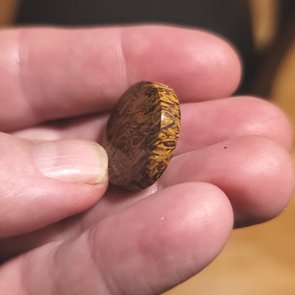 Coquina - Indian Script Stone Cabochon - side view