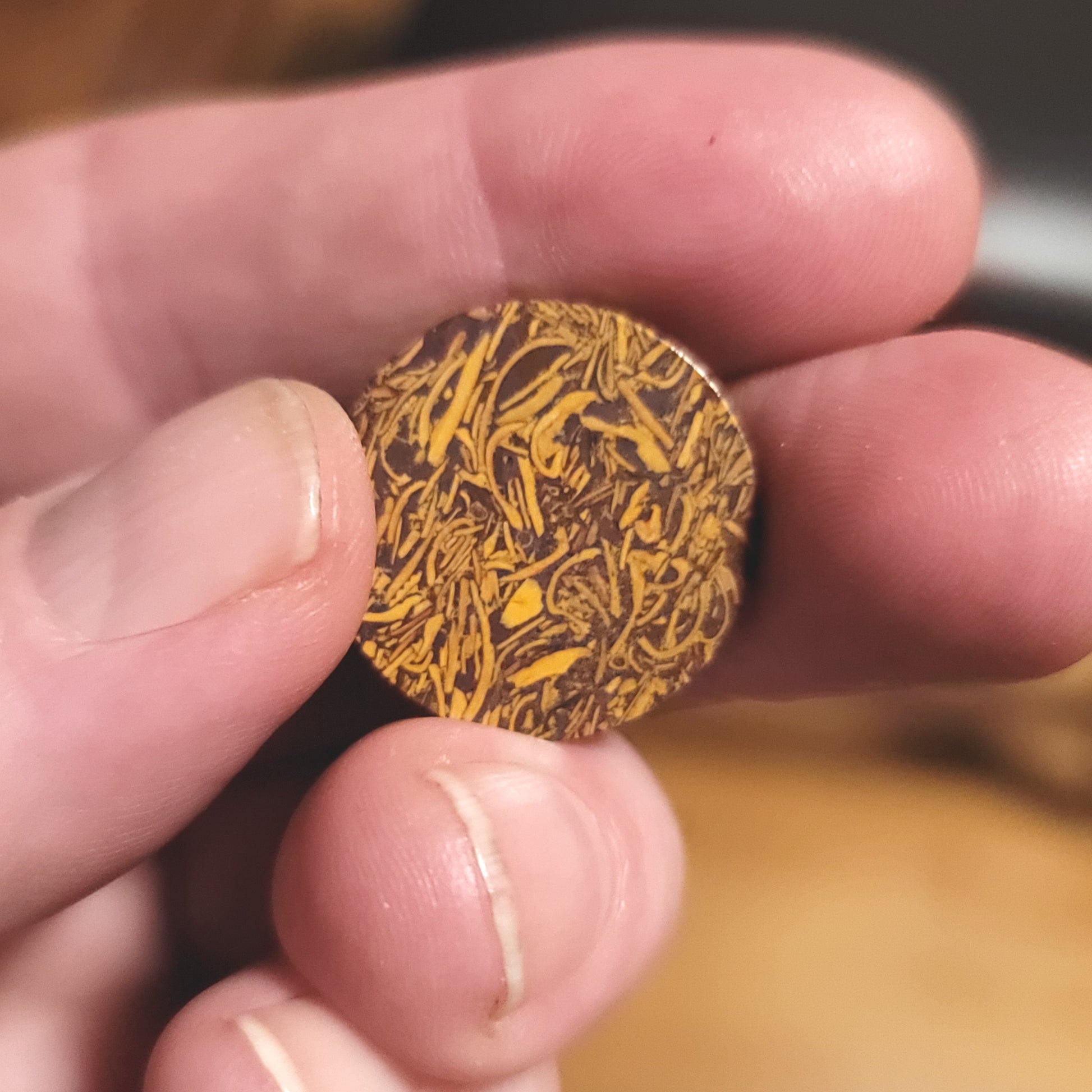 Coquina - Indian Script Stone Cabochon - back view