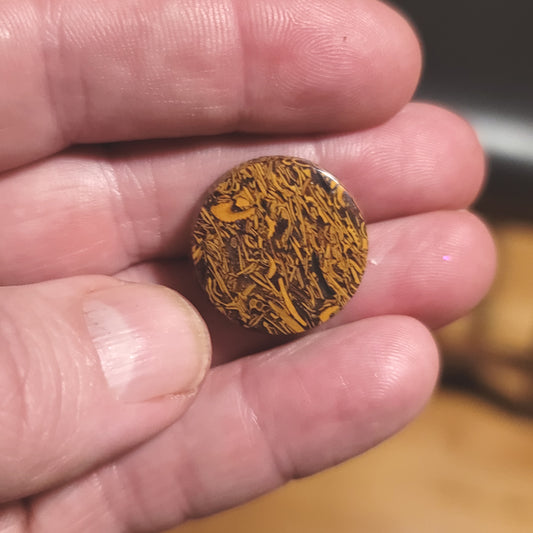 Coquina - Indian Script Stone Cabochon - front view