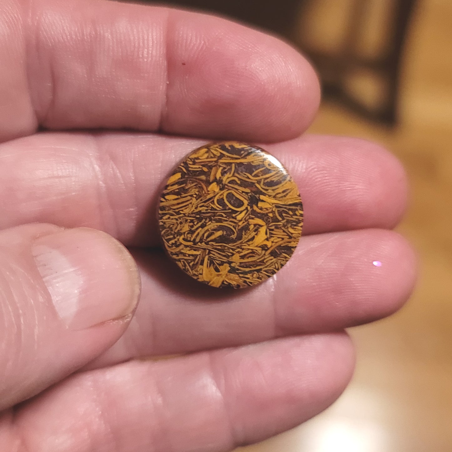 Coquina - Indian Script Stone Cabochon - front view
