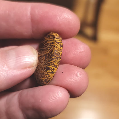 Coquina - Indian Script Stone Cabochon - side view