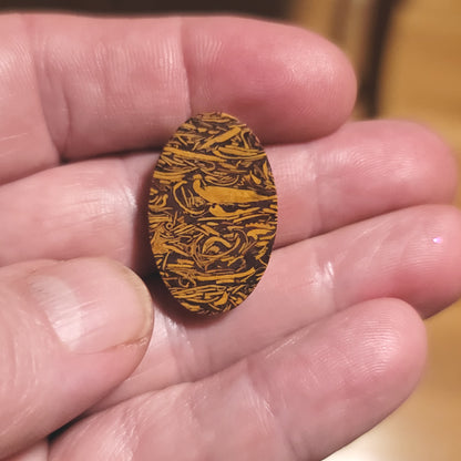 Coquina - Indian Script Stone Cabochon - back view