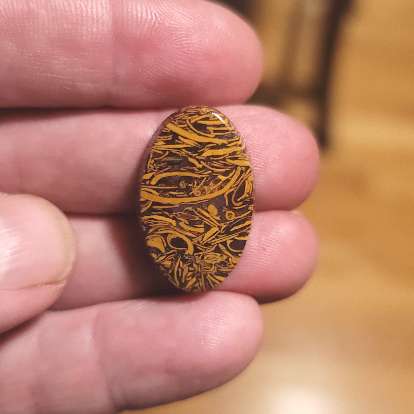 Coquina - Indian Script Stone Cabochon - front view