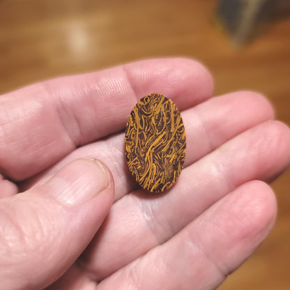 Coquina - Indian Script Stone Cabochon - back view