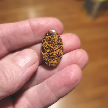 Coquina - Indian Script Stone Cabochon - front view