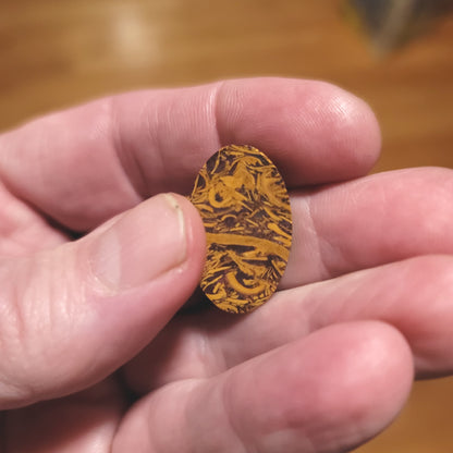 Coquina - Indian Script Stone Cabochon - back view