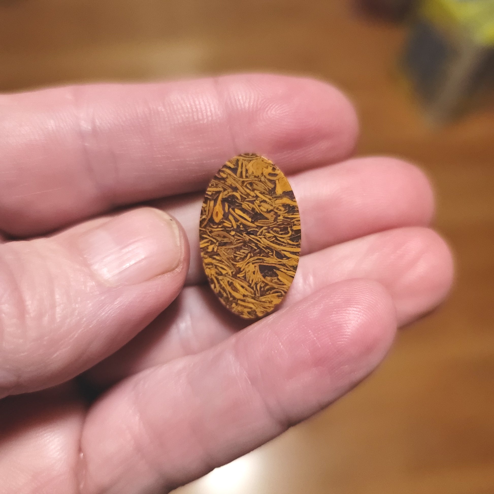 Coquina - Indian Script Stone Cabochon - back view