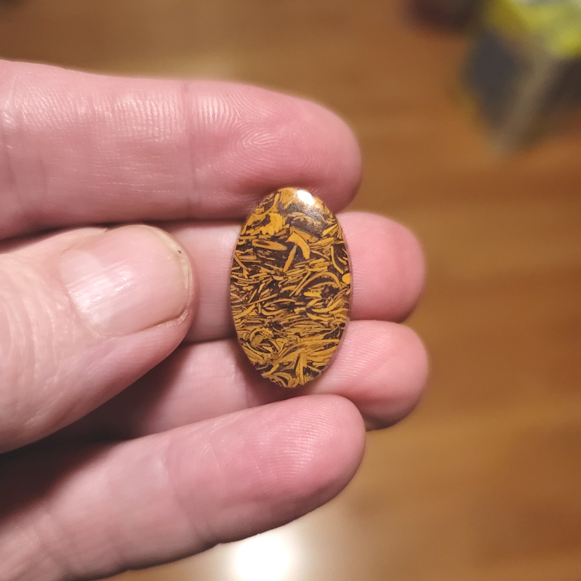 Coquina - Indian Script Stone Cabochon - front view