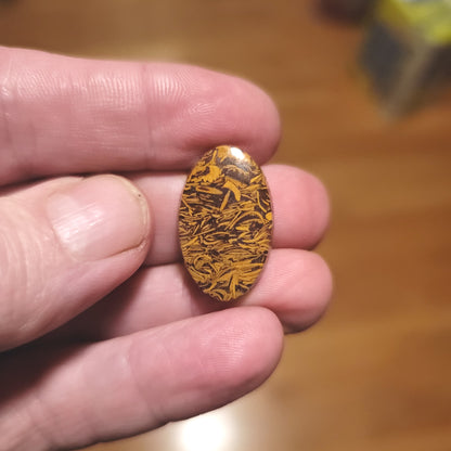 Coquina - Indian Script Stone Cabochon - front view