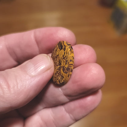 Coquina - Indian Script Stone Cabochon - side view