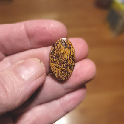 Coquina - Indian Script Stone Cabochon - front view