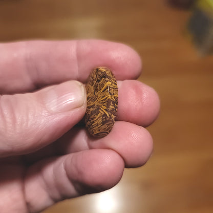 Coquina - Indian Script Stone Cabochon - side view