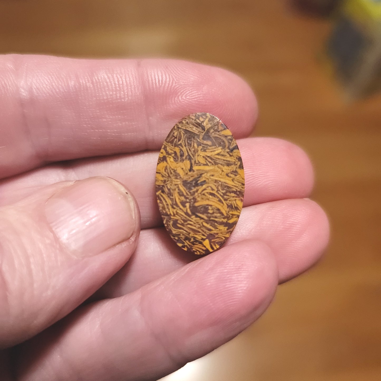 Coquina - Indian Script Stone Cabochon - back view