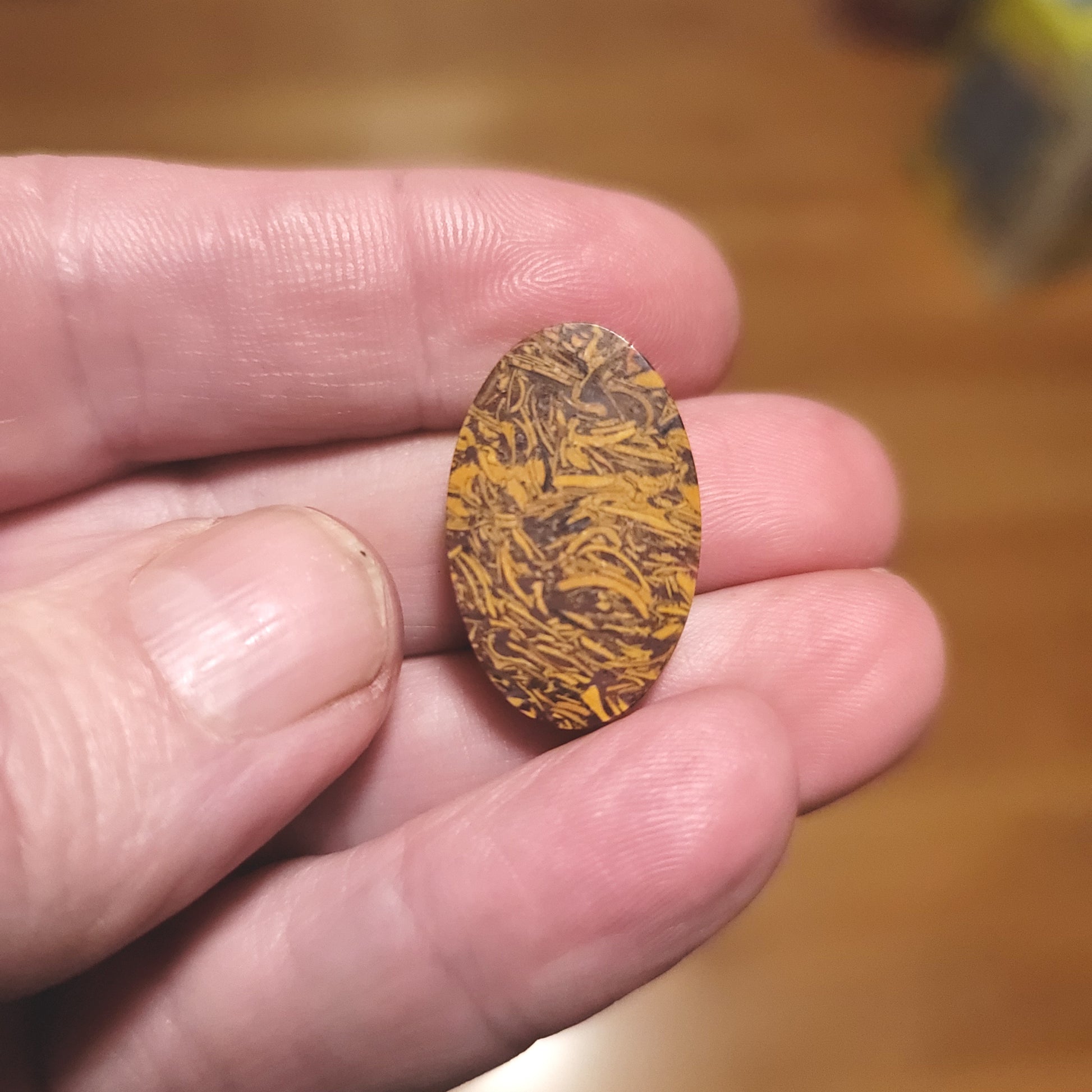 Coquina - Indian Script Stone Cabochon - back view