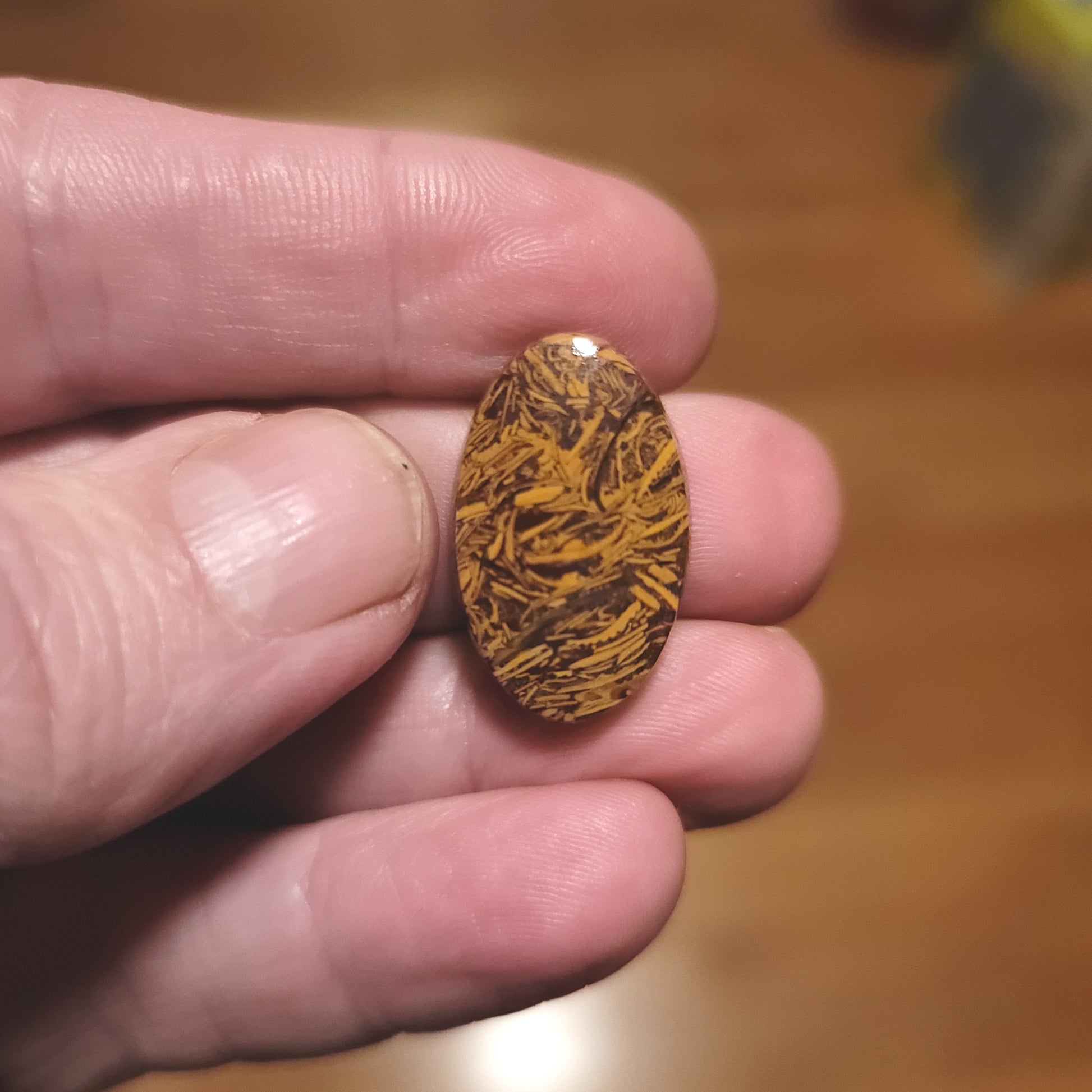 Coquina - Indian Script Stone Cabochon - front view