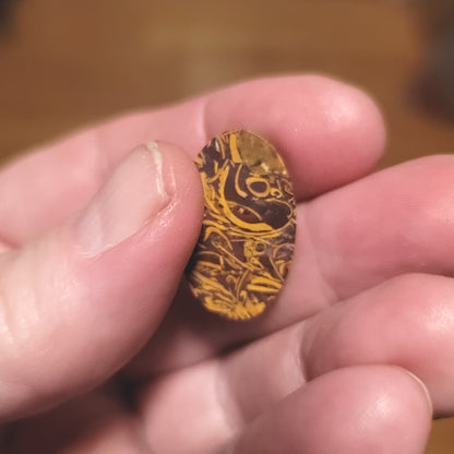 Coquina - Indian Script Stone Cabochon - back view