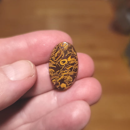 Coquina - Indian Script Stone Cabochon - front view