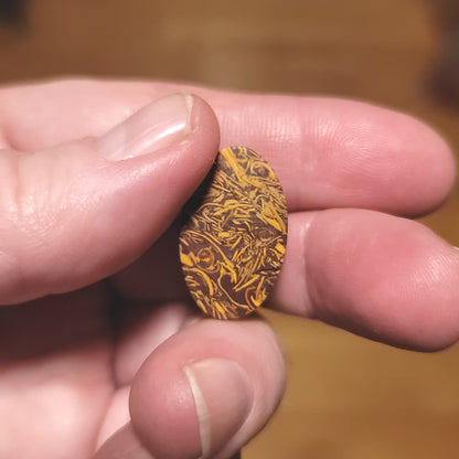 Coquina - Indian Script Stone Cabochon - back view