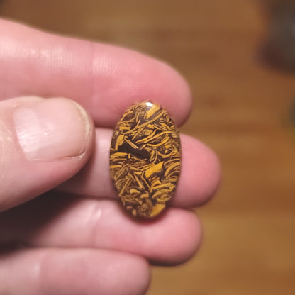 Coquina - Indian Script Stone Cabochon - front view