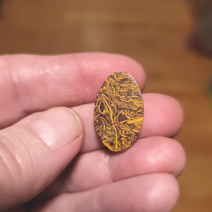 Coquina - Indian Script Stone Cabochon - back view