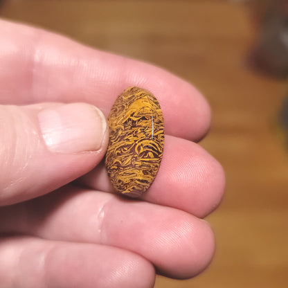 Coquina - Indian Script Stone Cabochon - side view