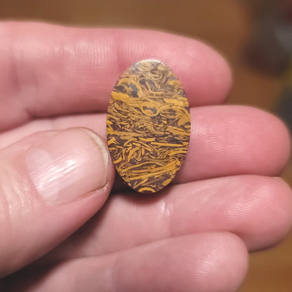 Coquina - Indian Script Stone Cabochon - back view