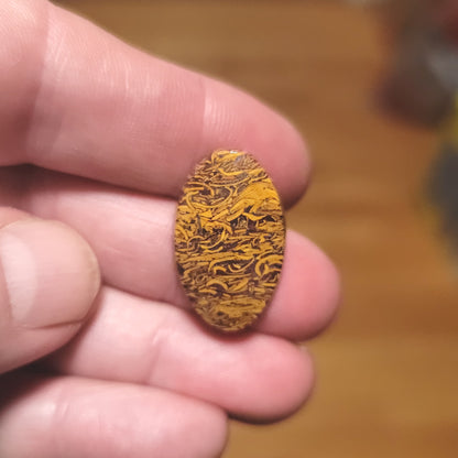 Coquina - Indian Script Stone Cabochon - front view