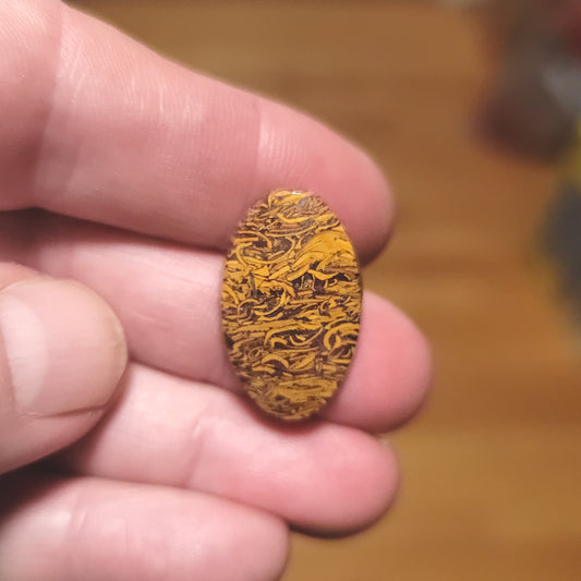 Coquina - Indian Script Stone Cabochon - front view