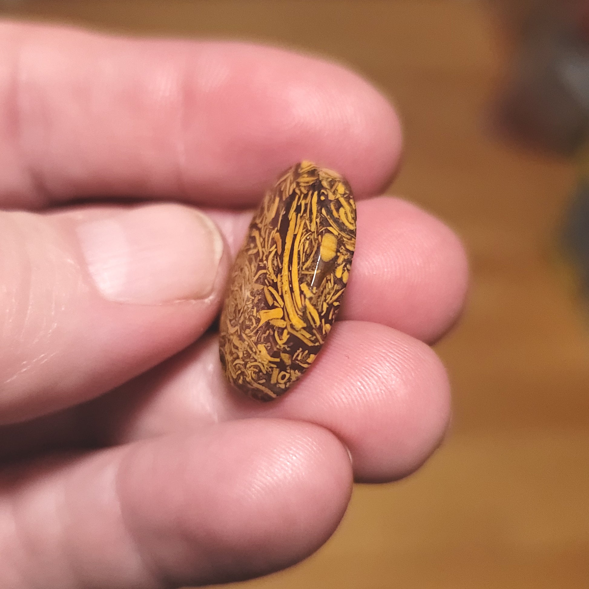 Coquina - Indian Script Stone Cabochon - side view