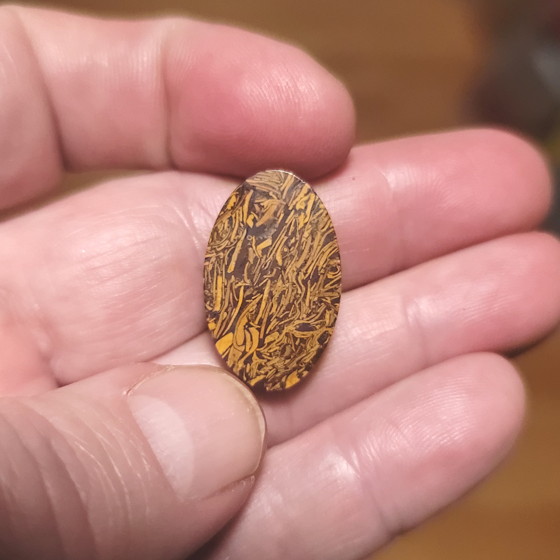 Coquina - Indian Script Stone Cabochon - back view