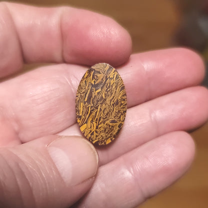 Coquina - Indian Script Stone Cabochon - back view