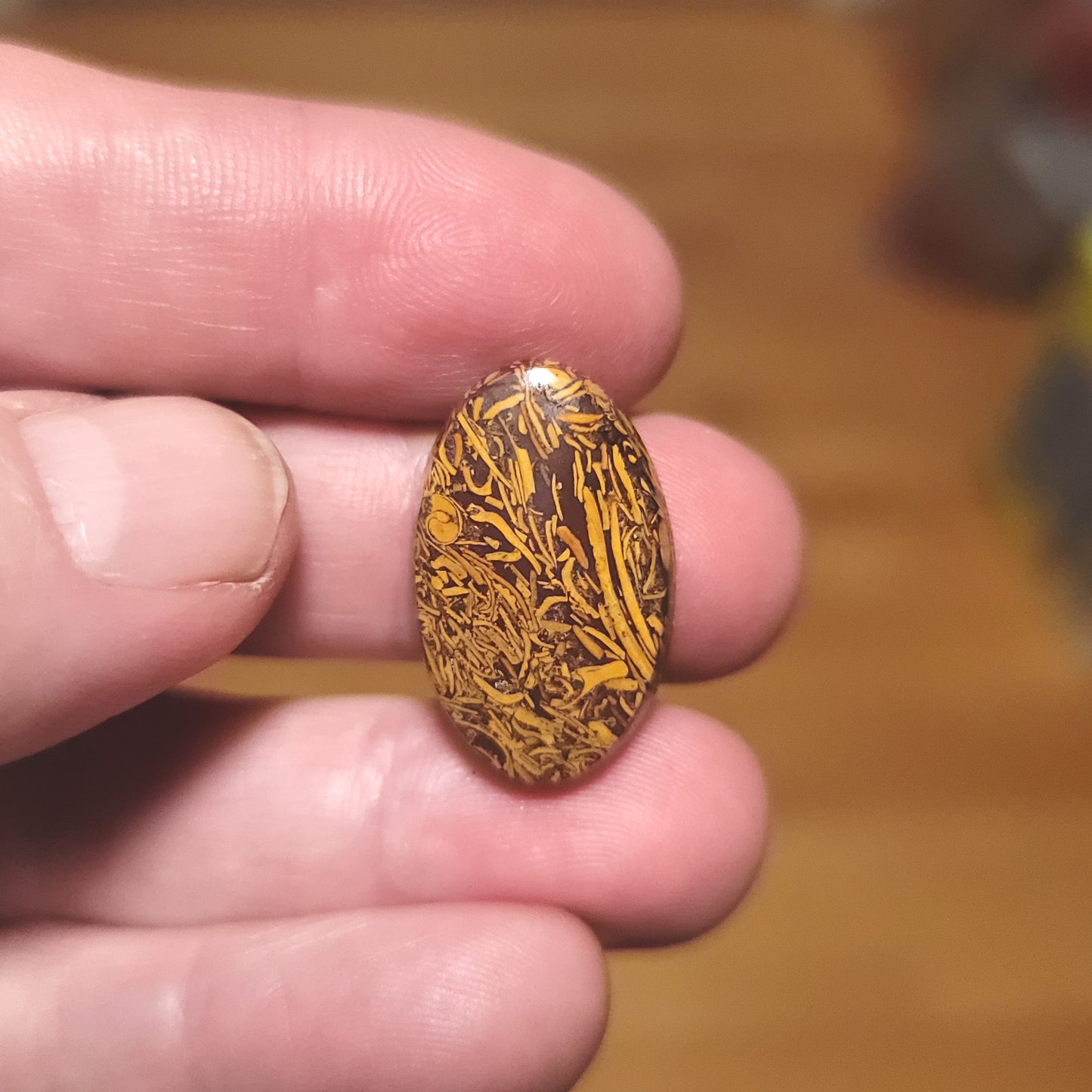 Coquina - Indian Script Stone Cabochon - front view