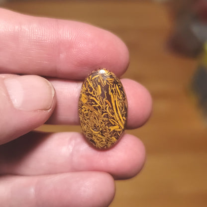 Coquina - Indian Script Stone Cabochon - front view