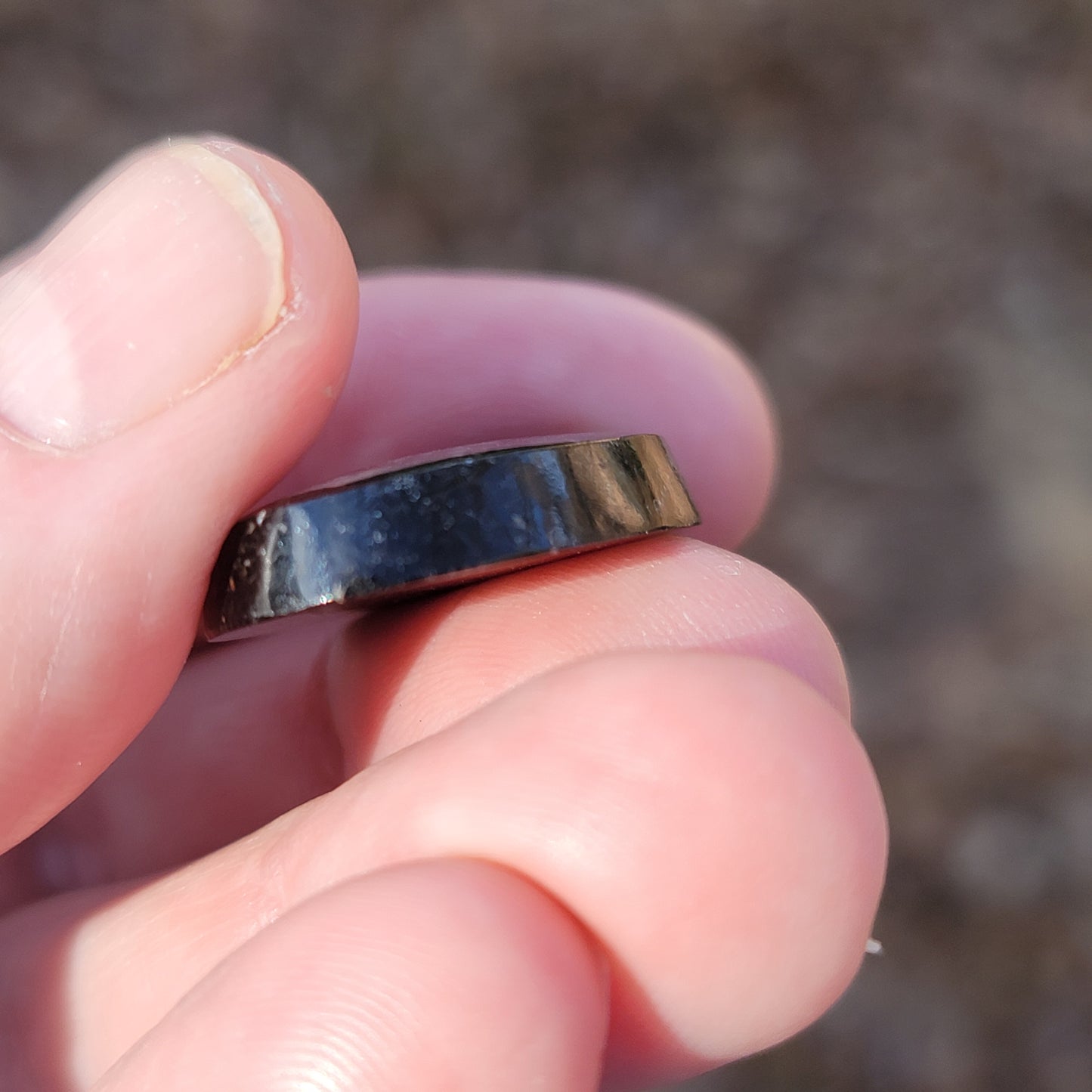 Wyoming Dinosaur Bone Cabochon